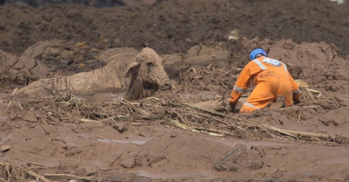 brumadinho